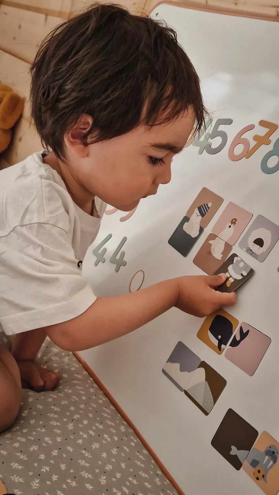 Ma Cabane à Rêves - magnetic puzzle game / magnets - Magnetic Puzzle Game - Ice Pack Animals