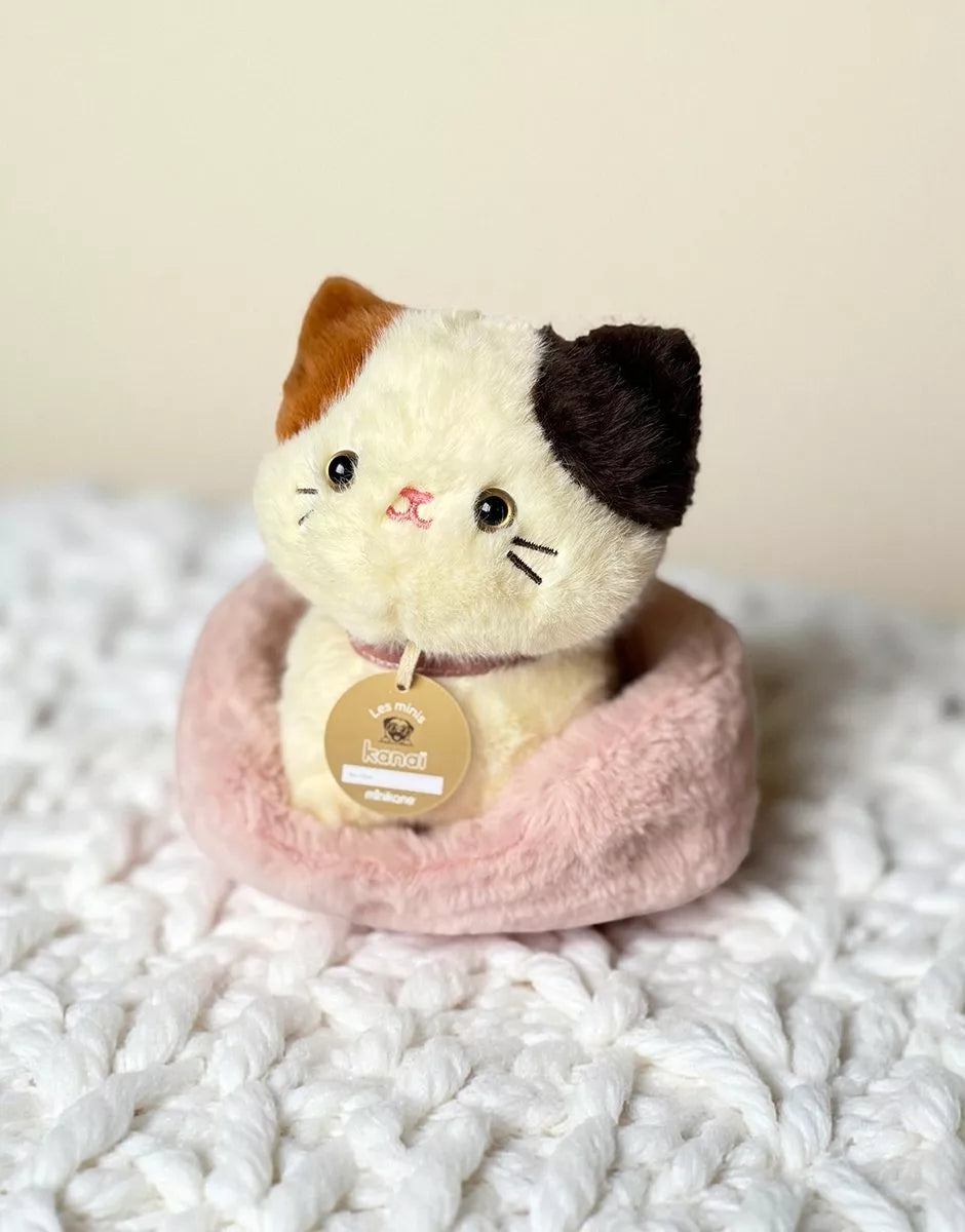 Minikane pliušinis kačiukas Kimi sėdi minkštame lovyje, 18 cm dydžio, minkštas ir jaukus žaislas vaikams.