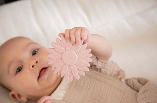 Label Label - Kramtukas - Saulėgrąža - Rožinis