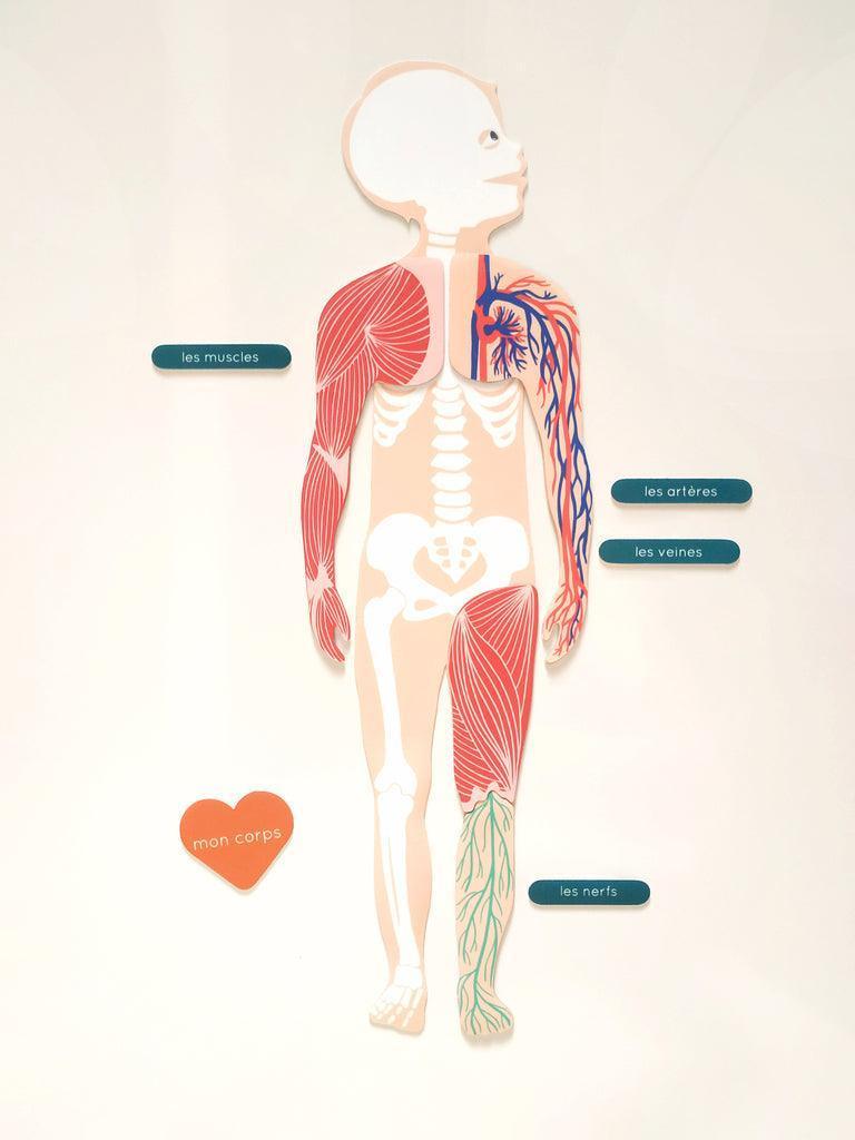 Ma Cabane à Rêves - magnetinis žaidimas - magnetai - The Human Body (english version)
