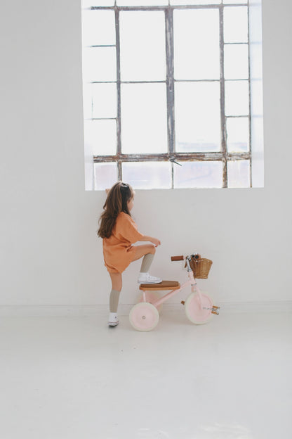 Vintažinis triratukas su krepšeliu - Pink