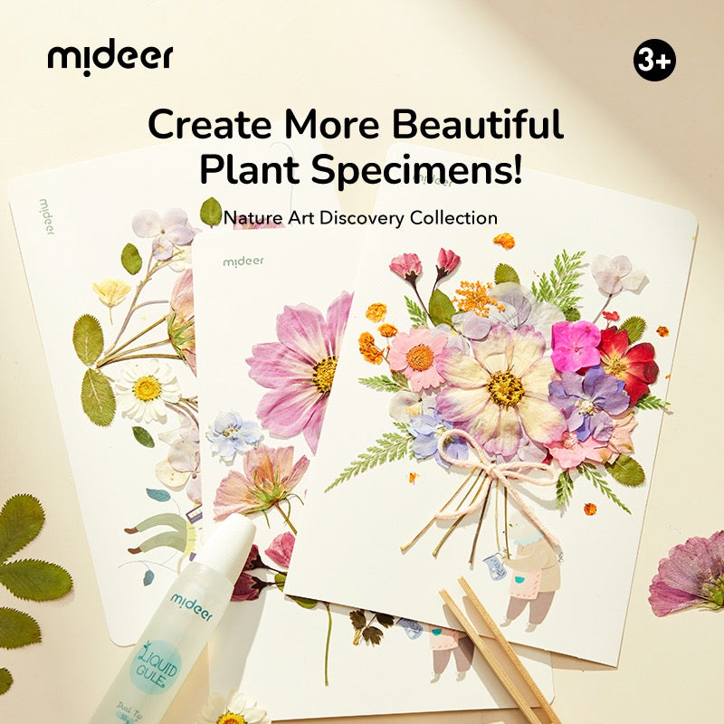 Mideer - Kūrybinis gamtos meno rinkinys - presas