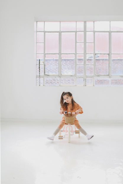 Vintažinis triratukas su krepšeliu - Pink