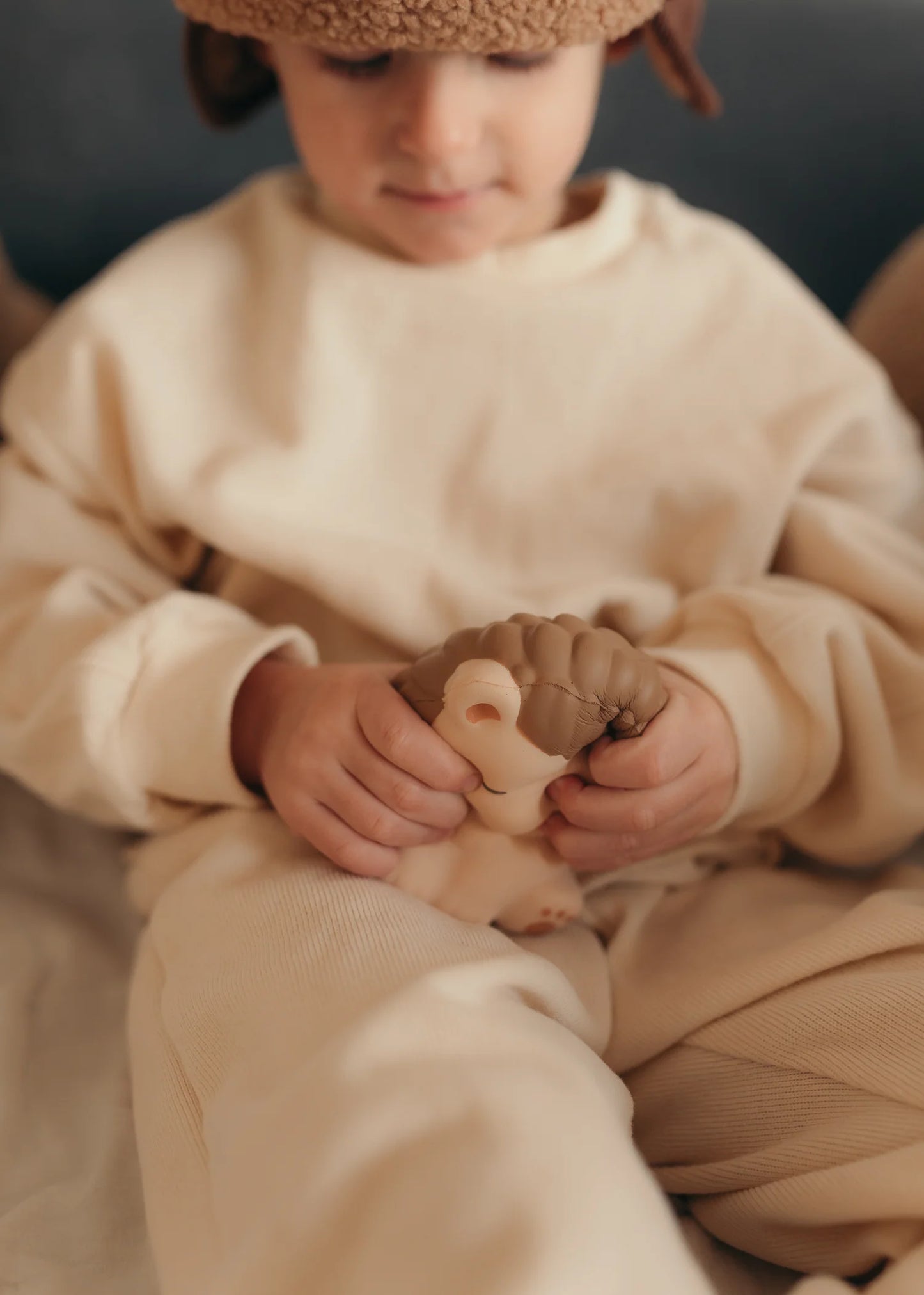 Squichymals – Antistresiniai gyvūnėliai – Ežiukas 🦔