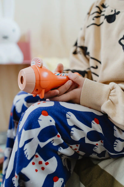 „Kidystories” pasakų priojektoriaus papildymai - KIDYSLIDE