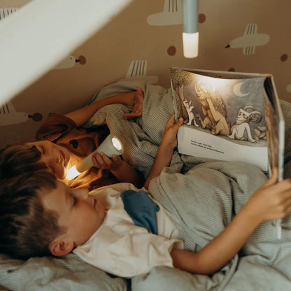 Multifunkcinis žibintuvėlis - žalias - FLASHLIGHT-GR