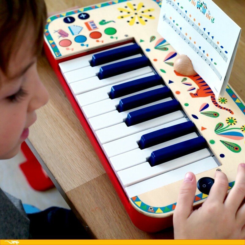 DJECO - Animambo Muzikinis instrumentas - Sintezatorius - LE KUKU