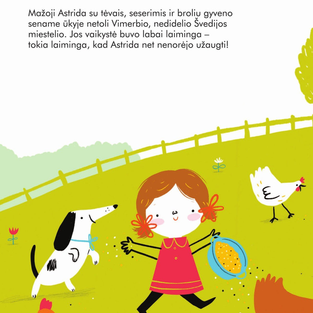 Knyga - Mažų žmonių DIDELĖS SVAJONĖS - ASTRID LINDGREN - LE KUKU