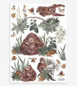 LILIPINSO sienų lipdukai - UTAN - Stickers muraux / Singes et plantes - LE KUKU