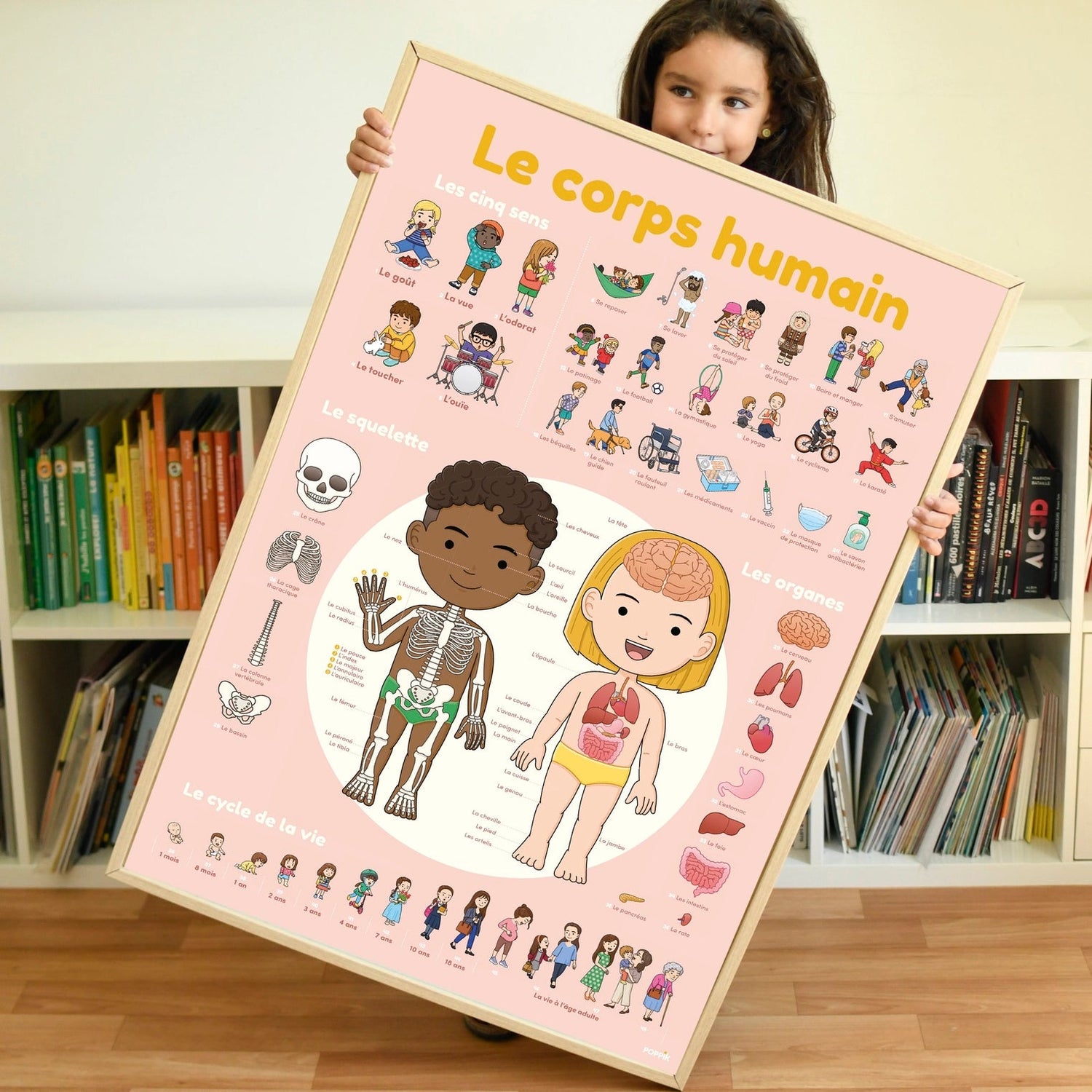 Poppik - Žmogaus kūnas | plakatas su lipdukais | nuo 4 metų - LE KUKU