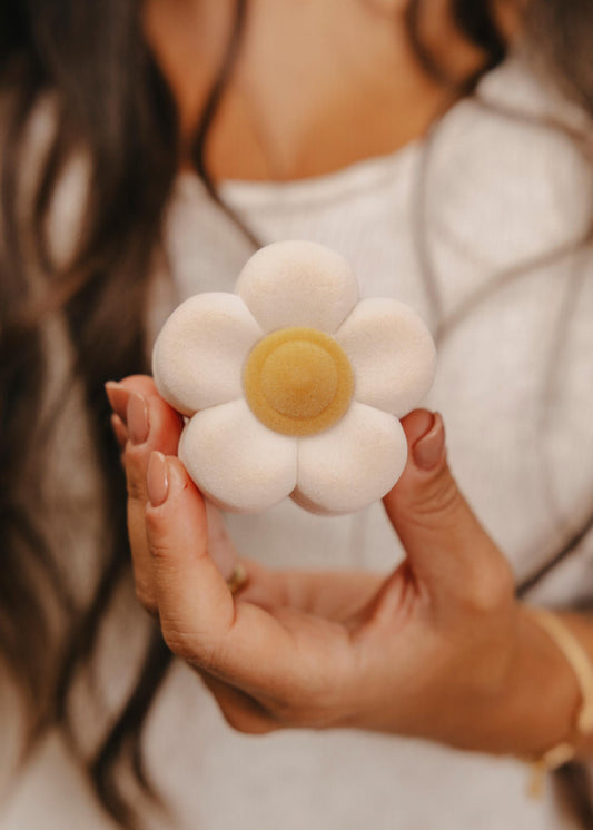 Papuošalų dėžutė „Daisy“